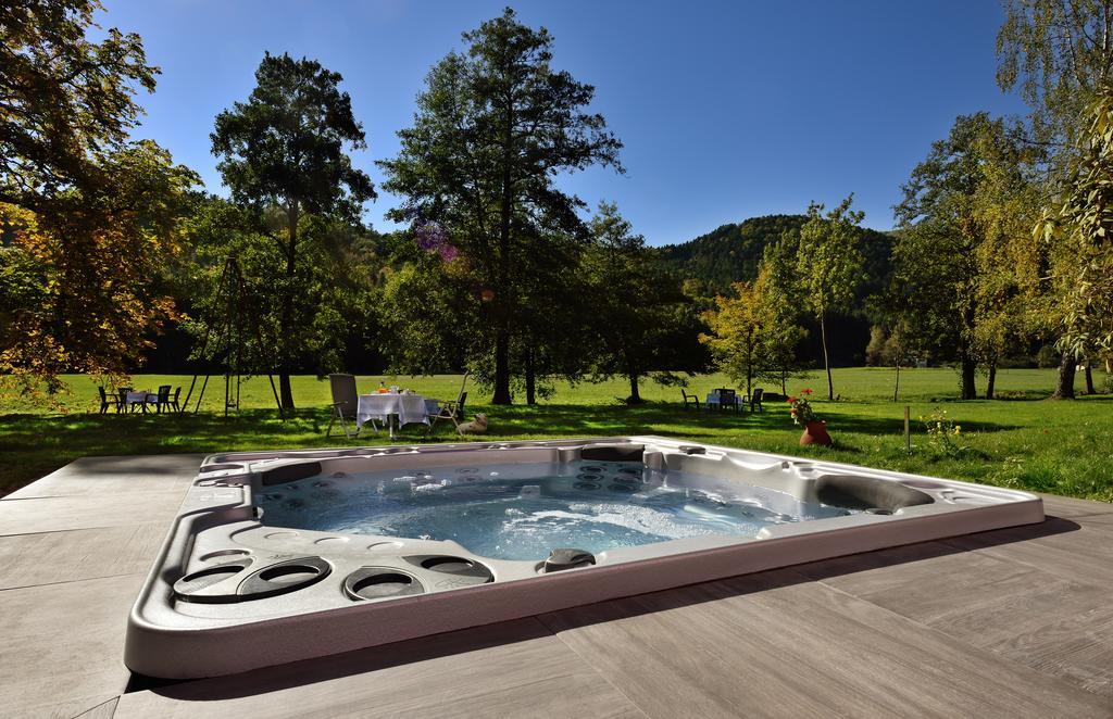 Logis Des Vosges Hotel Sewen