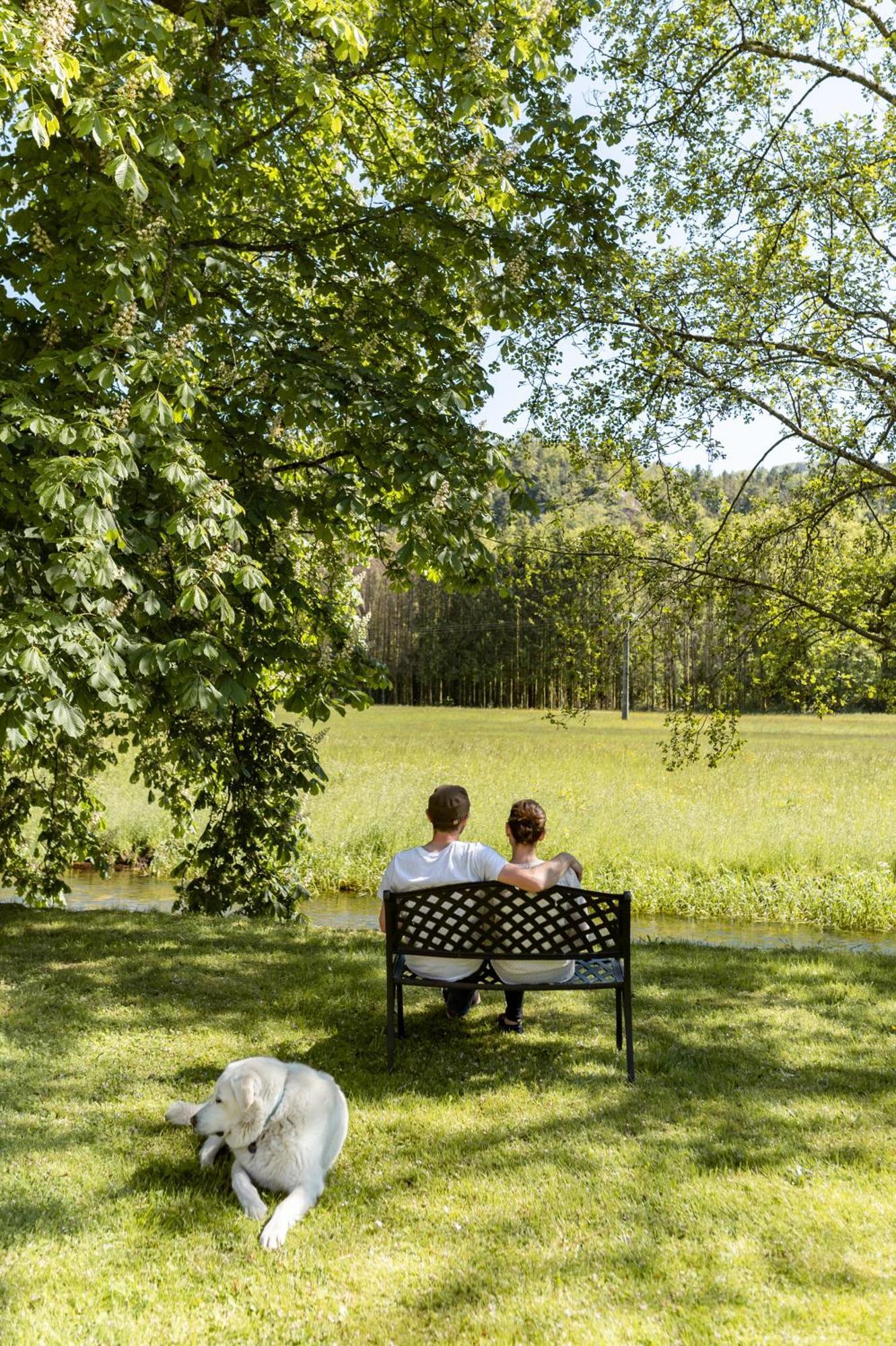 Logis Des Vosges Hotel Sewen