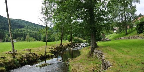 Logis Des Vosges
