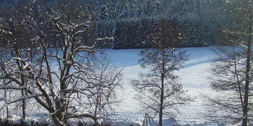 Logis Des Vosges